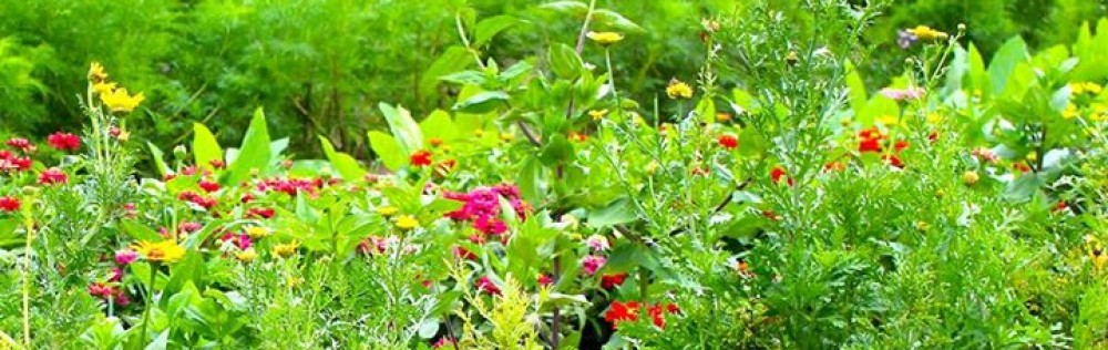 Cable Community Farm