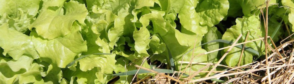 Cable Community Farm
